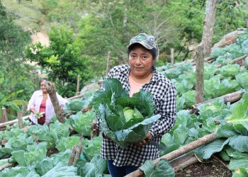Más que un financiamiento, Tob’anik representa una apuesta del Gobierno de Guatemala por el desarrollo rural sostenible. / Foto: MAGA.