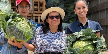 Promueven asistencia técnica especializada para agricultores en Patzicía y Santa Cruz Balanyá