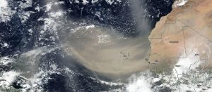 El polvo del Sahara cumple funciones en los procesos biogeoquímicos del planeta. / Foto: EFE.