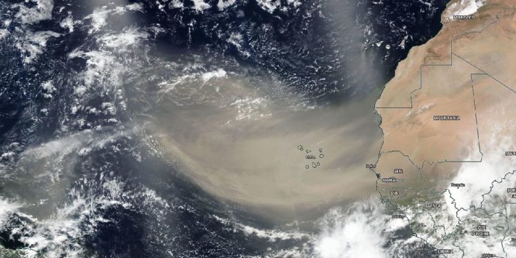 El polvo del Sahara cumple funciones en los procesos biogeoquímicos del planeta. / Foto: EFE.