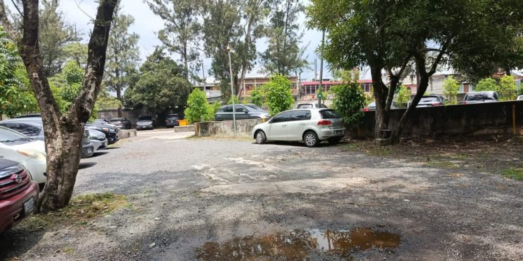 Las acciones incluyeron cuidado de áreas verdes. / Foto: Hospital Roosevelt.