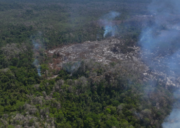 Reportan incendio en Parque Nacional Laguna Lachuá./Foto: Conap.
