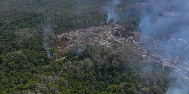 Reportan incendio en Parque Nacional Laguna Lachuá./Foto: Conap.