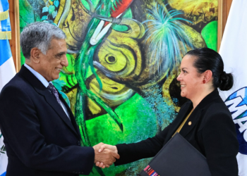 Mario Alberto Gaitán Flores, como viceministro de Seguridad Alimentaria y Nutricional . / Foto: MAGA