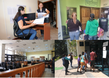 El esfuerzo diario de los equipos técnicos y profesionales que integran la PGN ha sido clave para mantener esta labor sostenida. / Foto: PGN