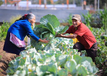 Crédito Tob'anik tiene como meta principal fortalecer a pequeños y medianos productores en todo el territorio guatemalteco. / Foto: MAGA.