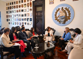 Presidenta en funciones sostuvo reunión con representantes de la CIDH. (Foto: Byron de la Cruz)