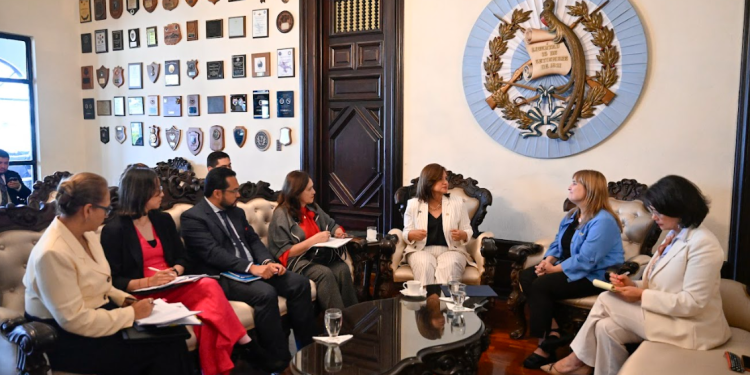 Presidenta en funciones sostuvo reunión con representantes de la CIDH. (Foto: Byron de la Cruz)