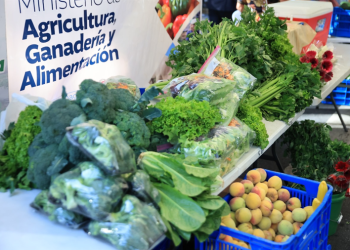 Con esta propuesta, el MAGA busca no solo acercar productos accesibles a la población, sino también incentivar la economía rural. / Foto: MAGA