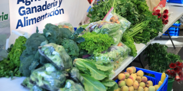 Con esta propuesta, el MAGA busca no solo acercar productos accesibles a la población, sino también incentivar la economía rural. / Foto: MAGA