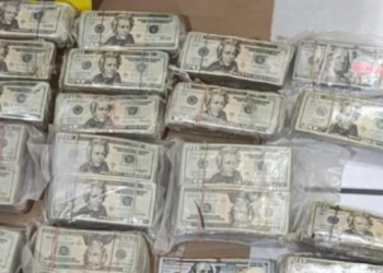 PNC logra decomiso de 184 mil dólares. (Foto: PNC)