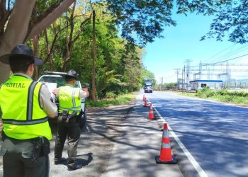 Brigadas de Provial tienen presencia en distintos puntos del país. / Foto: Provial.