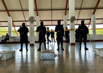 Esta labor responde al compromiso del Gobierno por combatir frontalmente el narcotráfico. / Foto: Ejército