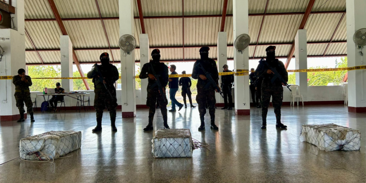 Esta labor responde al compromiso del Gobierno por combatir frontalmente el narcotráfico. / Foto: Ejército