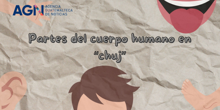 Conociendo el cuerpo humano en Chuj. / Arte: AGN