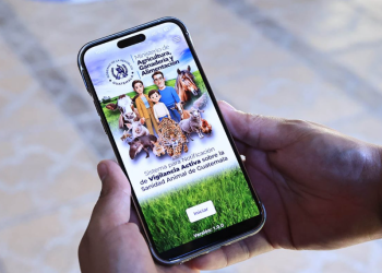 La app fue desarrollada para facilitar la participación ciudadana en la detección temprana de brotes. / Foto: MAGA