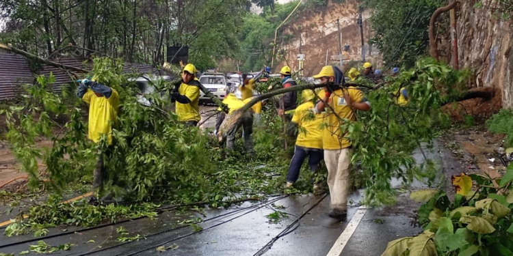 Conred brinda atención a emergencias por lluvias./Foto: Conred.