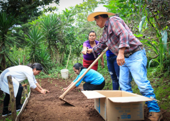 Tob’anik representa una apuesta concreta por dinamizar el sector agrícola. / Foto: MAGA