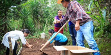 Tob’anik representa una apuesta concreta por dinamizar el sector agrícola. / Foto: MAGA