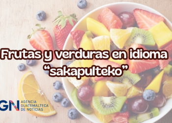 Cada palabra encierra historia, conocimiento y una forma distinta de ver el mundo. / Foto: AGN