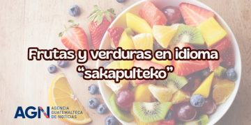 Cada palabra encierra historia, conocimiento y una forma distinta de ver el mundo. / Foto: AGN