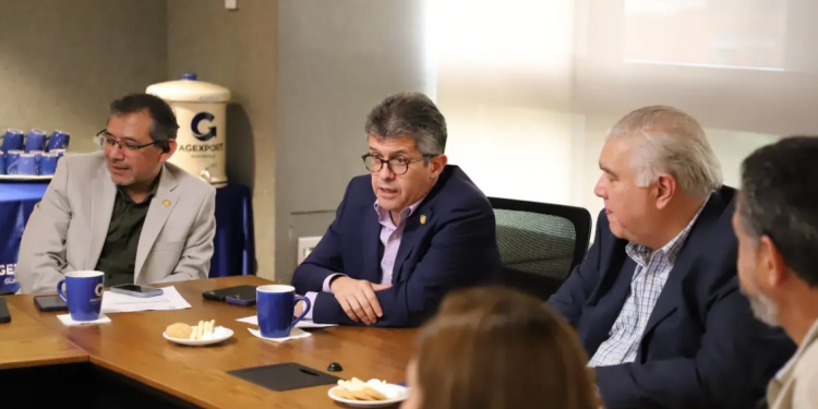 Ministerio de Salud compartió avances con representantes de empresas exportadoras. (Foto: MSPAS)