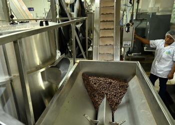 Planta de industrialización de cacao impulsa el desarrollo rural en el Valle del Polochic. (Foto: Álvaro Interiano)