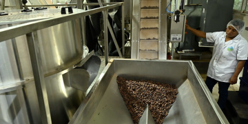 Planta de industrialización de cacao impulsa el desarrollo rural en el Valle del Polochic. (Foto: Álvaro Interiano)