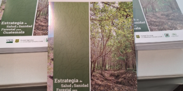 Estrategia Nacional de Salud y Sanidad Forestal. / Foto: Conap.