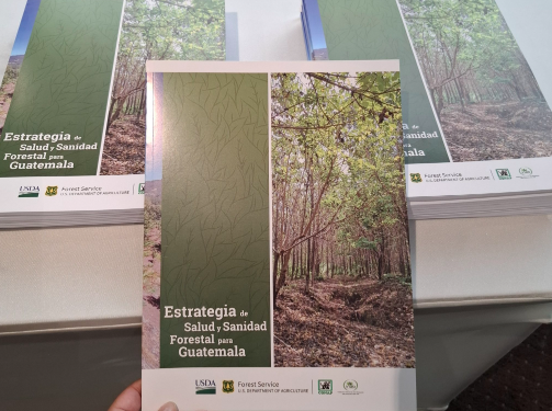 Estrategia Nacional de Salud y Sanidad Forestal. / Foto: Conap.