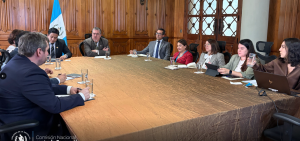 Consejeros delegados presentan avances en la lucha contra la corrupción al Presidente