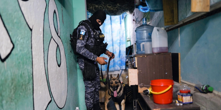 Las autoridades del Mingob y del Sistema Penitenciario aseguran que estos operativos forman parte de una polÃ­tica de control integral. / Foto: Mingob.