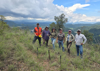 AMSCLAE llevó a cabo una jornada de reforestación en la cuenca del lago de Atitlán. (Foto: AMSCLAE)
