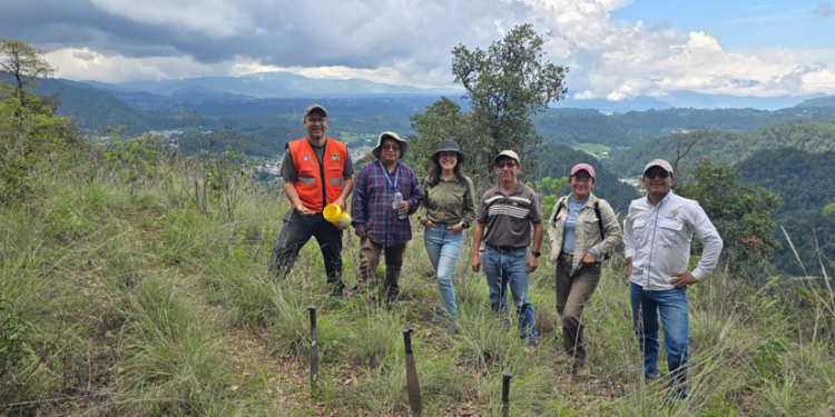 AMSCLAE llevó a cabo una jornada de reforestación en la cuenca del lago de Atitlán. (Foto: AMSCLAE)