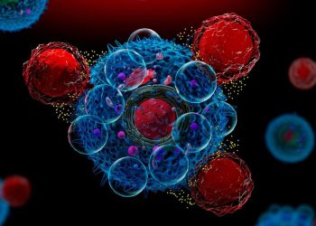Una técnica genera células CAR-T directamente en el cuerpo para luchar contra el cáncer
