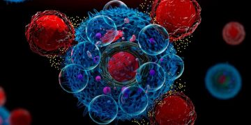 Una técnica genera células CAR-T directamente en el cuerpo para luchar contra el cáncer