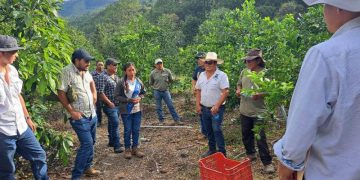 Extensionistas del MAGA comparten conocimientos con las comunidades