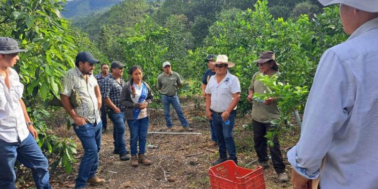 Extensionistas del MAGA comparten conocimientos con las comunidades