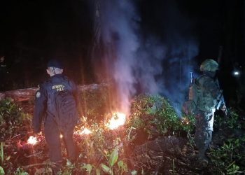 Agentes de la SGAIA incineran la droga que se erradicó en el operativo que se desarrolló en áreas montañosas de San Luis, Petén.