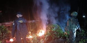 Agentes de la SGAIA incineran la droga que se erradicó en el operativo que se desarrolló en áreas montañosas de San Luis, Petén.