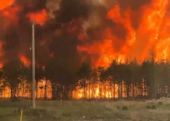 Los incendios forestales ya han consumido cerca de cuatro millones de hectáreas de bosques en Canadá.