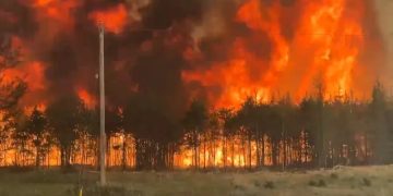 Los incendios forestales ya han consumido cerca de cuatro millones de hectáreas de bosques en Canadá.