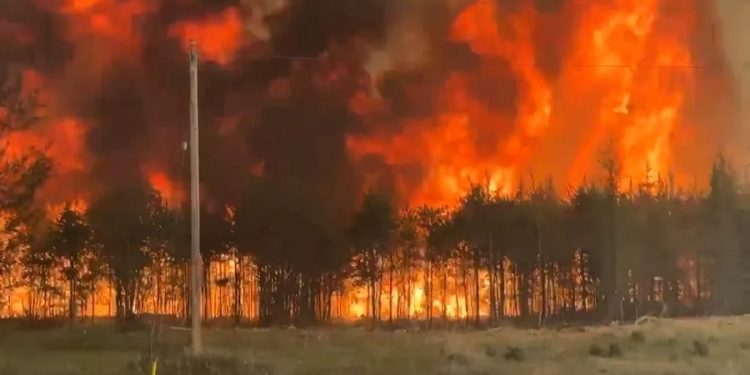 Los incendios forestales ya han consumido cerca de cuatro millones de hectáreas de bosques en Canadá.