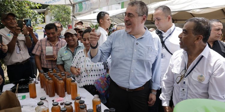 El presidente Bernardo Arévalo, luego de la inauguración de la planta procesadora de cacao, en Alta Verapaz./Foto: Alex Jacinto