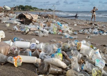 Miles de toneladas de materiales plásticos inundan playas y océanos alrededor del mundo.