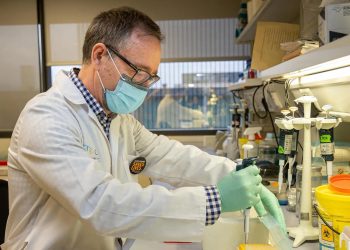 Quimioterapia Alfredo Martínez, investigador principal del Grupo de Angiogénesi del Centro de Investigación Biomédica de La Rioja. /Foto: EFE