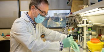 Quimioterapia Alfredo Martínez, investigador principal del Grupo de Angiogénesi del Centro de Investigación Biomédica de La Rioja. /Foto: EFE
