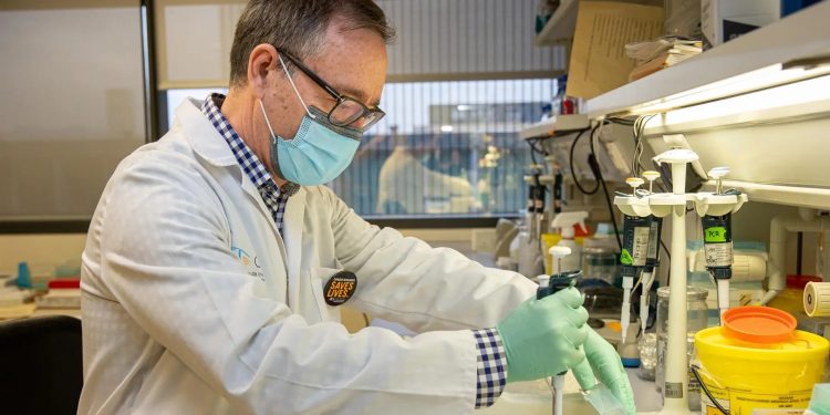 Quimioterapia Alfredo Martínez, investigador principal del Grupo de Angiogénesi del Centro de Investigación Biomédica de La Rioja. /Foto: EFE