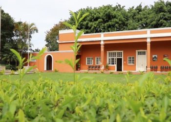 El MARN da seguimiento ante hallazgos en proyectos mineros en la sierra Santa Cruz