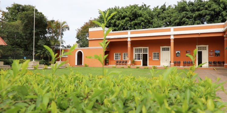 El MARN analiza inspecciones a mineras en Izabal.